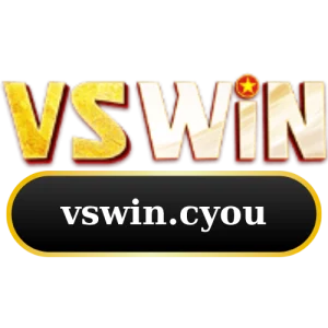 vswin-logo